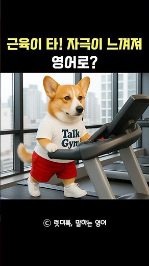 헬스장에서 쓰는 영어 표현 루틴!! 영어는 일상부터 말할 줄 알아야.. #영어공부법