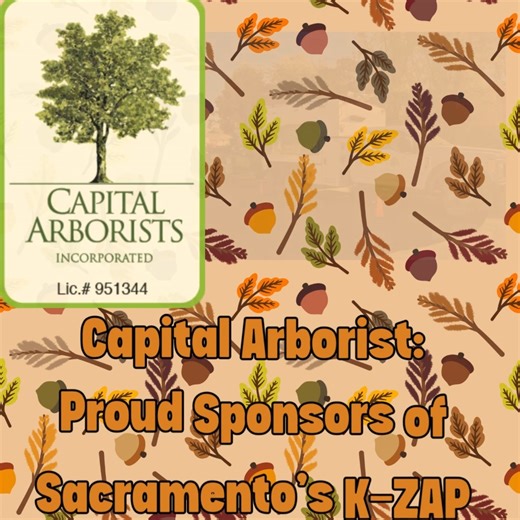 K-ZAP gets support from Capital Arborist 🌞 Mid-October Planting: The Best Time for Perennials in Sacramento As Sacramento’s mid-October offers mild highs in the 70s and cooling nights, it’s the prime window to plant perennials, allowing roots to establish before winter while avoiding summer heat stress. Here’s why now is ideal and how Capital Arborist can ensure your landscape blooms beautifully next spring: Why Mid-October Planting Matters for Perennials 🌾 - Root Establishment: Cooler temps a