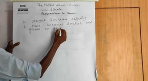 Reproduction in Human