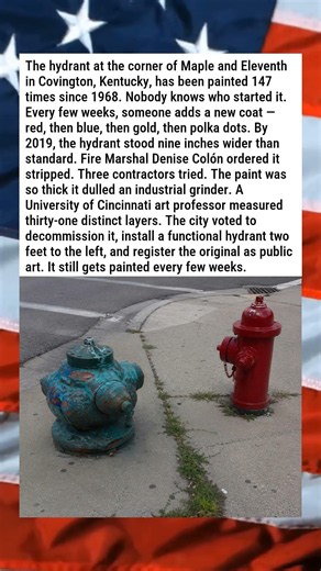 FIRE HYDRANT PAINTED OVER SO MANY TIMES IT'S NOW A SCULPTURE 🎨🚒😂