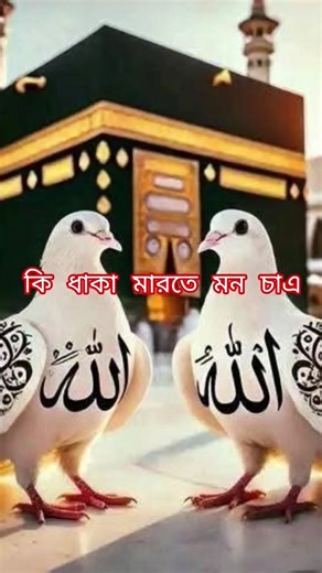 জান্নাত লাভের দোয়া | আল্লাহ আমি আপনার কাছে জান্নাত চাই, জাহান্নাম থেকে পানাহ চাই #shorts #viral