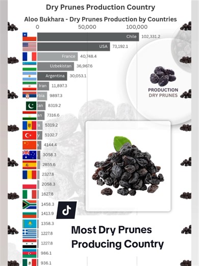 Top Countries Producing Dry Prunes Worldwide