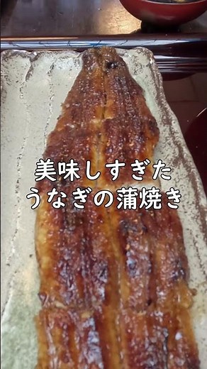 【静岡・浜松】絶品うなぎ・工場直売所・スイーツ・絶景スポットを巡る12選
