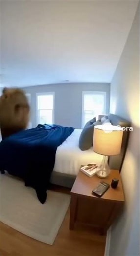 A Giant Capybara Broke Into My House!