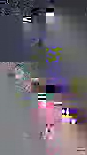 2.4K views · 61 reactions | Meeko Media on Reels | Facebook