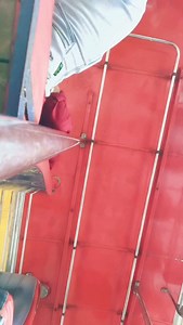 6.9K views · 368 reactions | #bus鹿 | Gari Wala | Facebook