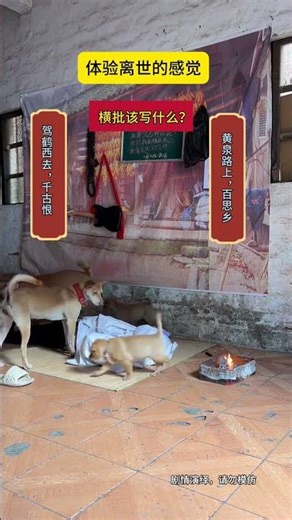 What should be written in the horizontal inscription#Horizontal inscription#Couplet#Brain