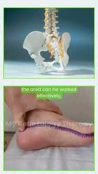 Sacral (Tailbone) Reflexology | Spinal Line Support for Pelvic & Lower Back Relief