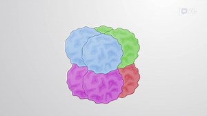 Video: The Nucleosome Core Particle