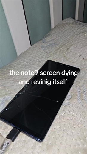 Note9 Screen Glitch: Dying and Reviving?