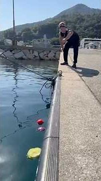 漁港漁師めし！あげびサーモン包み揚げサンド！