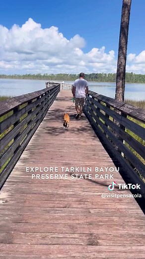 Tarkiln Bayou Preserve State Park is one of our favorite places to connect with nature in Pensacola 🌿 It's home to 4 endangered species of carnivorous pitcher plants! 🌱 Take a walk along the paved path to the end of the boardwalk for sweeping views of Tarkiln Bayou 💚 Is this park on your nature trail list? #TheWayToBeach #ExperiencePcola #LoveFl