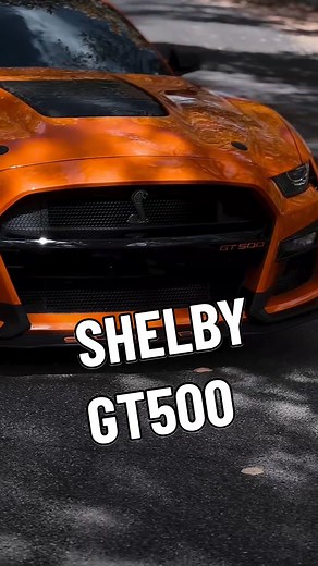 2024 Ford Mustang Shelby GT500 Overview