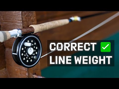 Choose the BEST Line Weight for ANY Fly Rod | Line Weight Explained (Part 4/5)