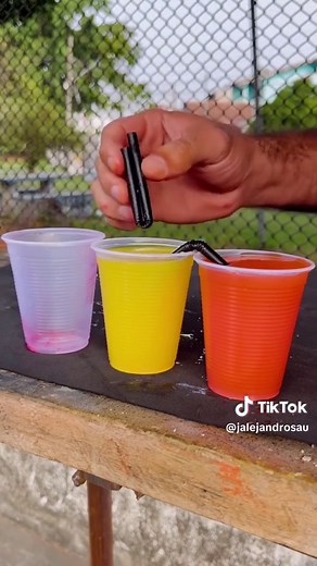 Experimento de Ósmosis con Tres Vasos