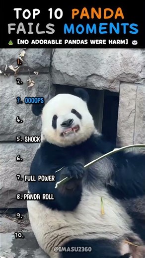 These Pandas Have NO Chill 😂 #shorts #panda #fails