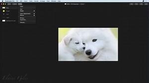 Pixelmator Pro教程（油管搬运视屏）