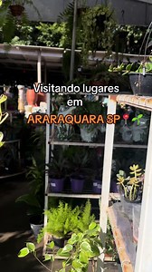 Pontos turísticos de Araraquara SP: visitando lugares imperdíveis