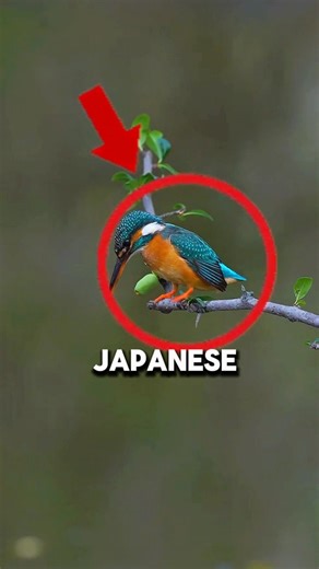 This Bird Defeated 100 Engineers! 😱 #shorts