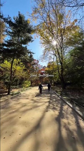 You MUST See Seoul Like This Before Winter 🍂 #travelshorts