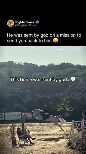 When horse has no depth perception