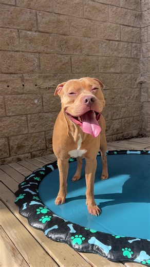 Valentine's Day Fun at the Splash Pad
