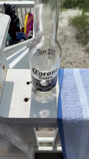 5.6K views · 80 reactions | Beach House Pets  #roaches | Gilroy Vlogs | Facebook