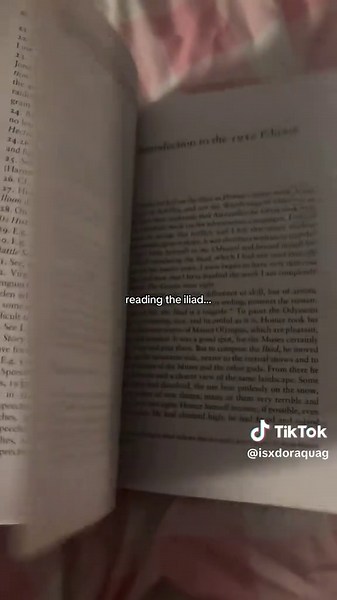 Understanding Odysseus' Journey in The Iliad
