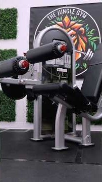 Which Leg Extension/Leg Curl Machine Is Best?