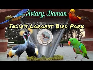 Exploring the Beautiful Aviary in Daman | A Paradise for Bird Lovers! #aviary #aviarydaman #daman