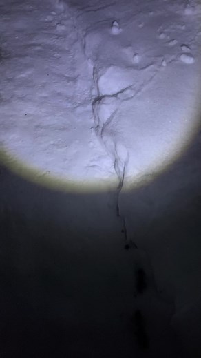 CreativЧЕК на TikTok