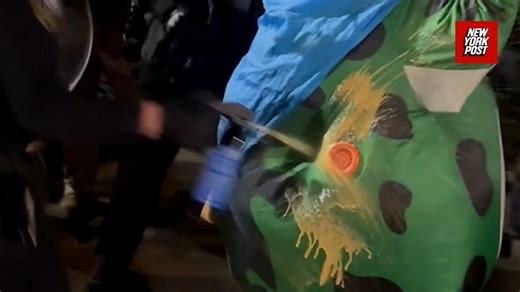 ICE agents shoot pepper spray into protester’s frog costume air vent
