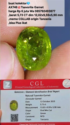 for collectors 💎 AX746 💥 Tsavorite Garnet price Rp 6 million Wa 085792493877, weight 5.73 CT dim ...