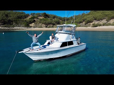 REEF ADDICTS | Update Episode - taking our new boat home!