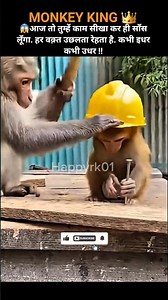 Funny Monkey Learns Carpentry Gone Wrong | Safe & Cute AI Animation 🐒🔨