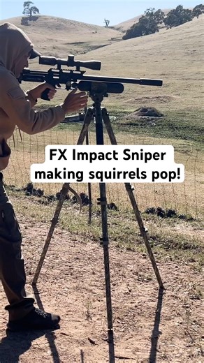 Putting the ultimate varmint air rifle to the task today of popping squirrels! #fxairguns #fximpact
