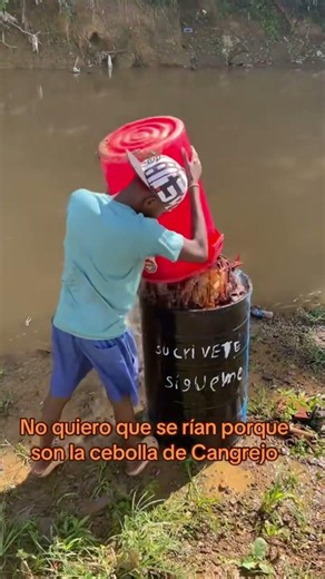 Giant crab that bites hard
