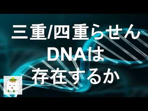 DNAの三重/四重らせん構造【生物化学】