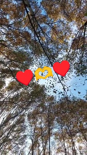 #azzedine_chelfi #chebazzedine♥️ #alger #enjoylife #playa #ghorba 🇩🇿🇲🇦🇹🇳