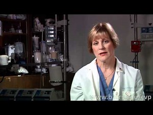 What is Cardiovascular Perfusion?