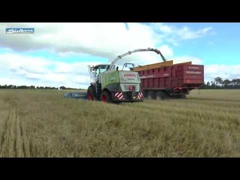 Shelbourne Stripper Header mounted to a forage harvester
