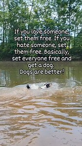 3.2M views · 78K reactions | Just set 'em all free #dogsrule #doglove #terrier #dogadventures #travelpawsrepeat | Travel.Paws.Repeat | Facebook