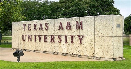 Lawmakers react to Texas A&M professor fired after education lecture discussing varying genders