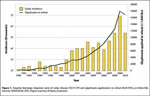 Roundup Bread: The Real Reason Americans are Intolerant to Wheat