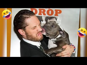 Ultimate Funny Animal Fails 😂 | You Can't Stop Laughing!