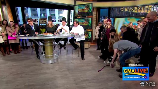 Zelda the Dog Can Balance Anything on Her Head