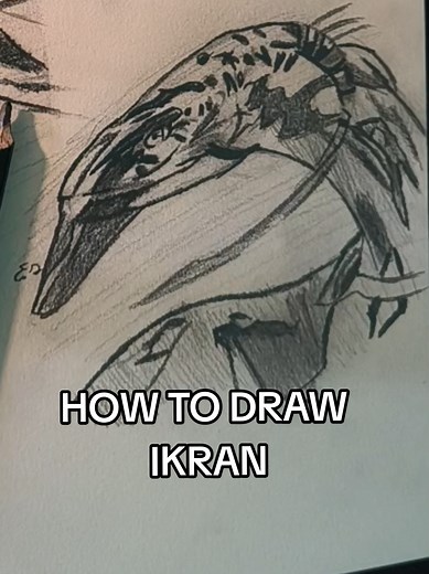 How to Draw an Ikran from Avatar Fire and Ash