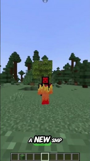 assassin's SMP ( applications closed )