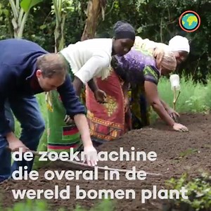Een steentje bijdragen, met elke zoekopdracht. Ecosia is de zoekmachine die het geld van jouw zoekopdrachten inzet om bomen te planten waar ze het meest nodig zijn. Ga naar www.ecosia.org om de gratis Ecosia browserextensie te downloaden en ons te helpen veel meer landschappen te herstellen die door ontbossing zijn verwoest, gewoon door te zoeken op het internet. | Ecosia