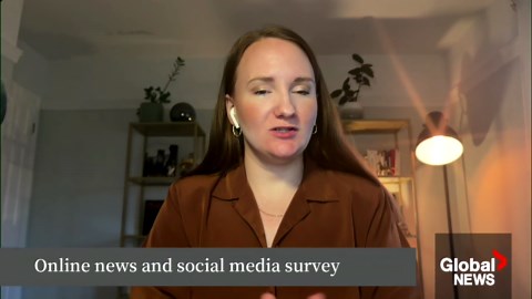 Online news and social media survey